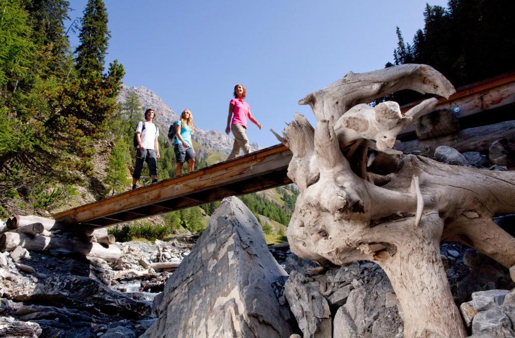 Schloss Hotel & Spa Pontresina - 3