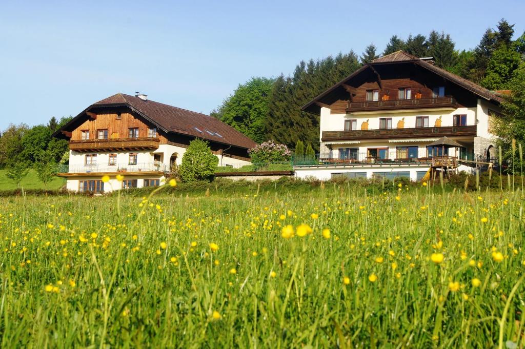 Bio-Hotel Schiessentobel - 3