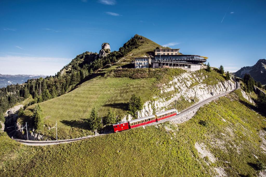 Berghotel Schynige Platte — Hotel in Weggis