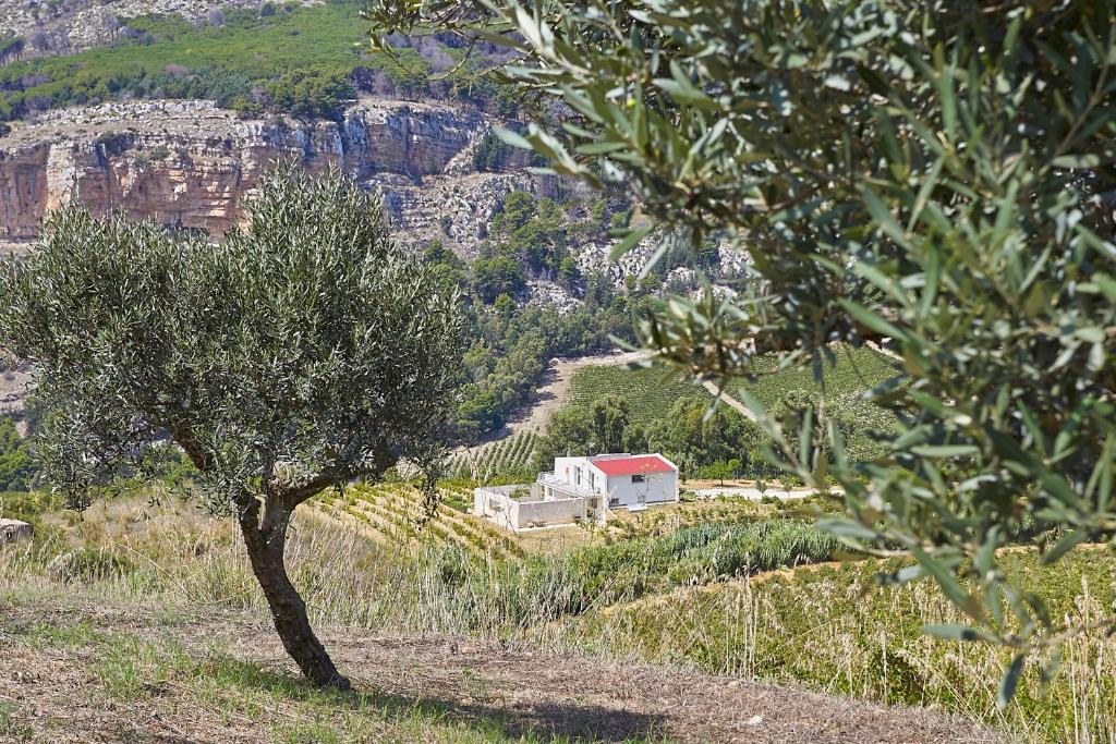 Villa Bonifato alloggo a uso turistico vista sulle campagne e sul mare siciliano - 5