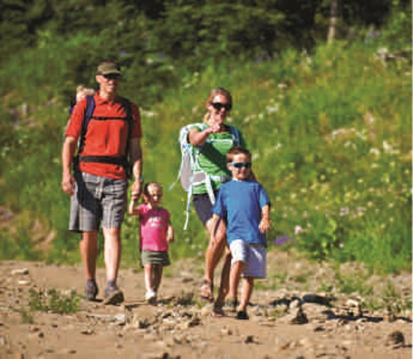Cabins 4 Less, No Fees photo