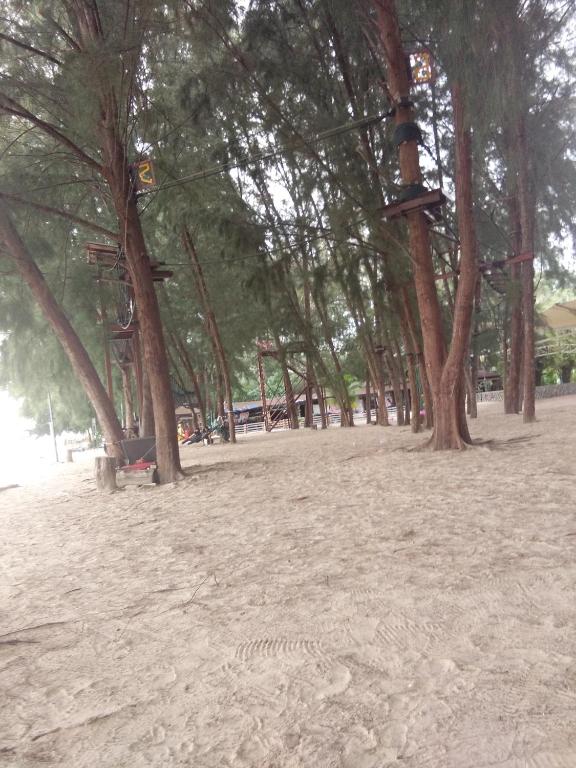 Surrounding environment