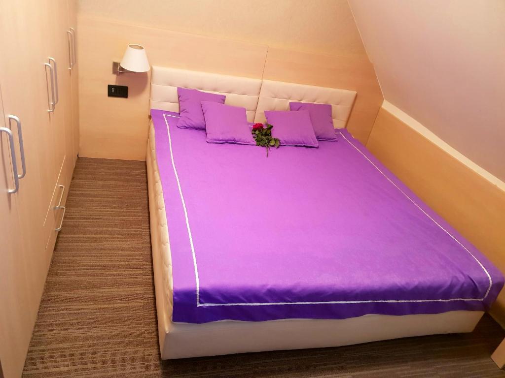 Apartment Superior Centar - 1
