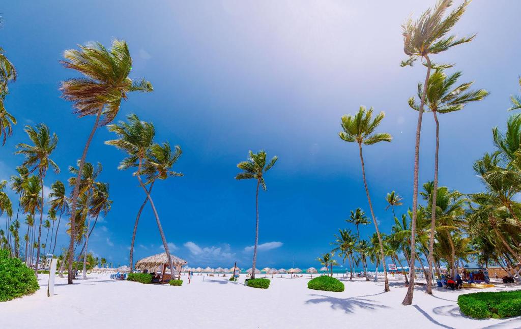 Beach Villas & Apartments Larimar photo
