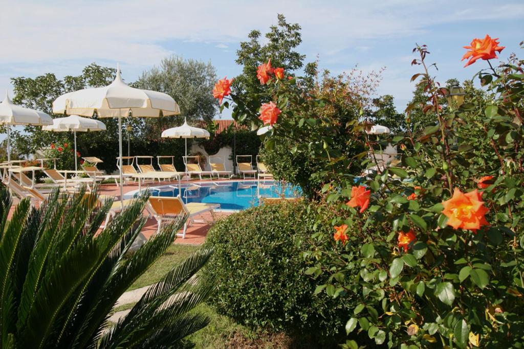Hotel Tirreno — Swimming pool in Parghelia, Calabria