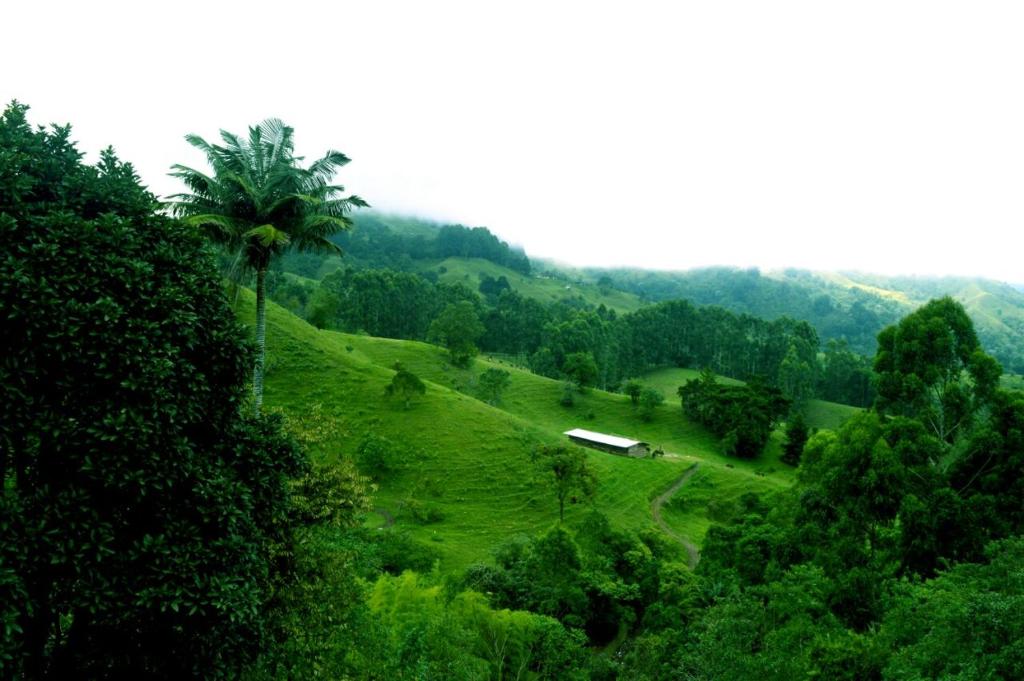 Mirador de los Cedros photo