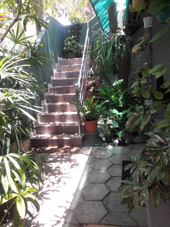 Aayu's Guest photo