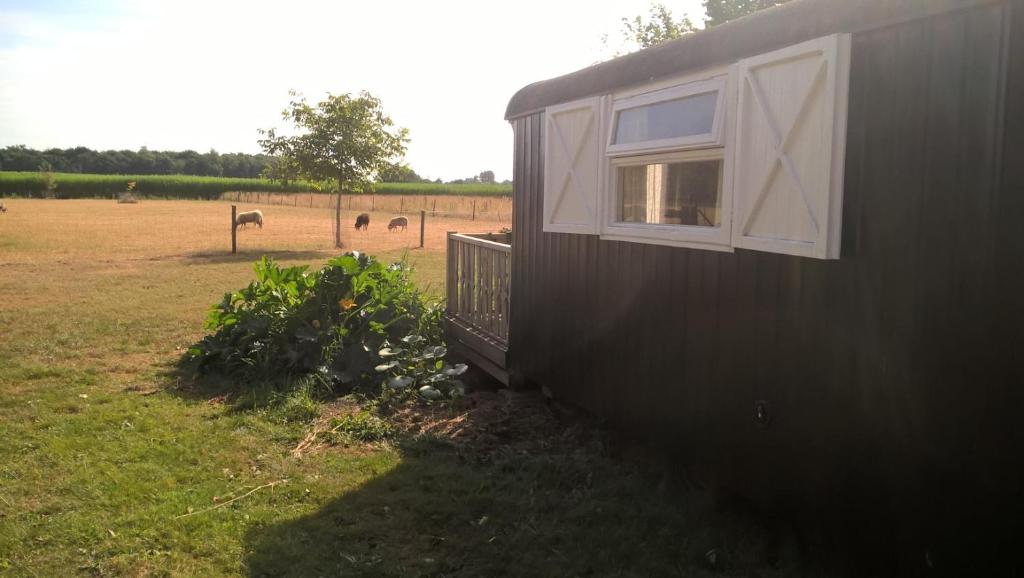 Pipowagen Lidewei Groningen Westerwolde unieke ligging met eigen tuin en vrij uitzicht over veld naa — Hotel in Onstwedde