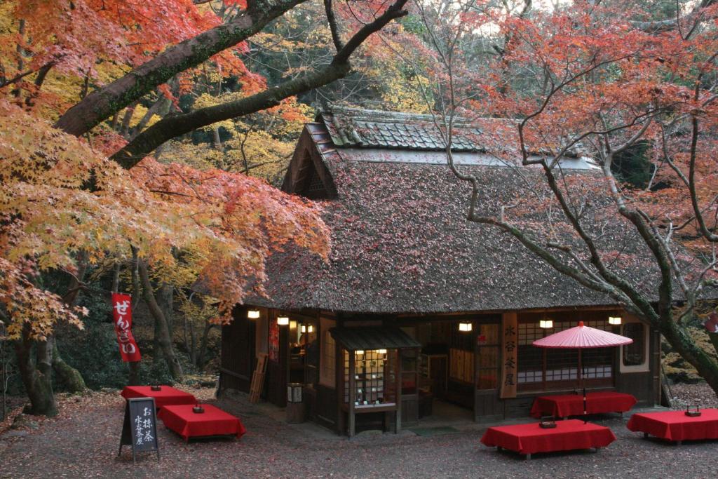 Nearby attraction