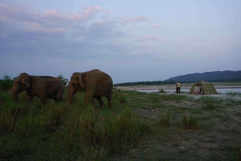 Surrounding environment