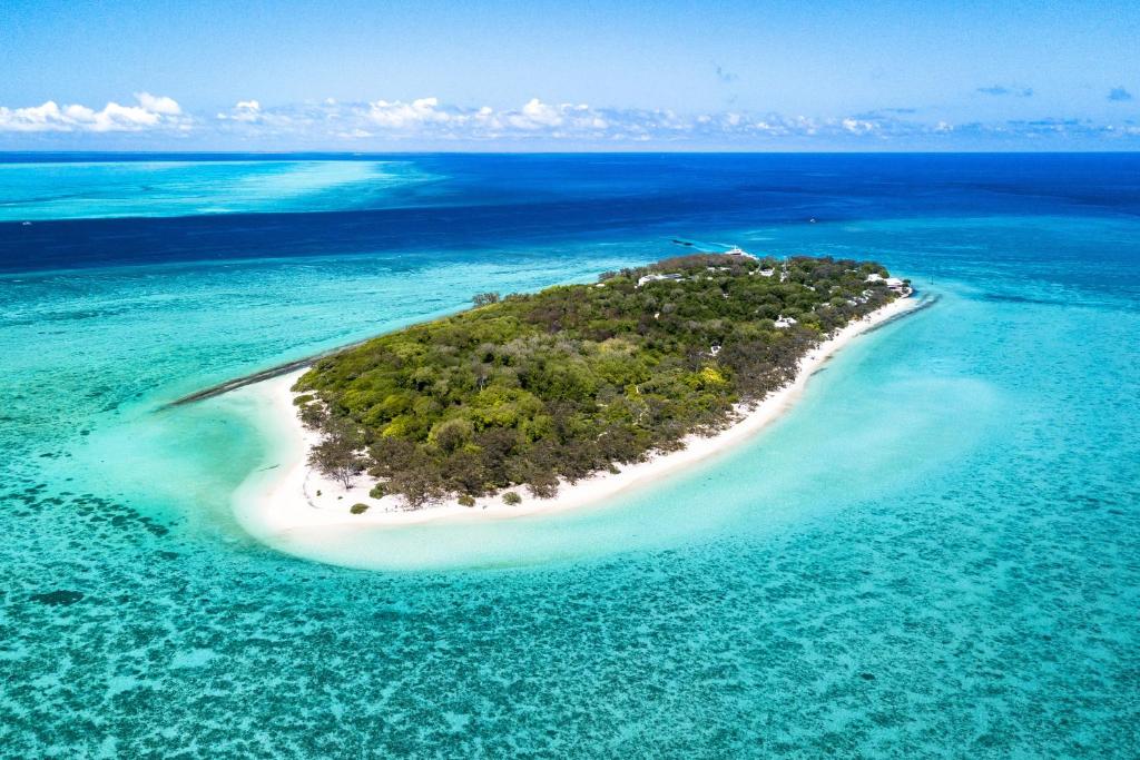 Heron Island, Heron Island