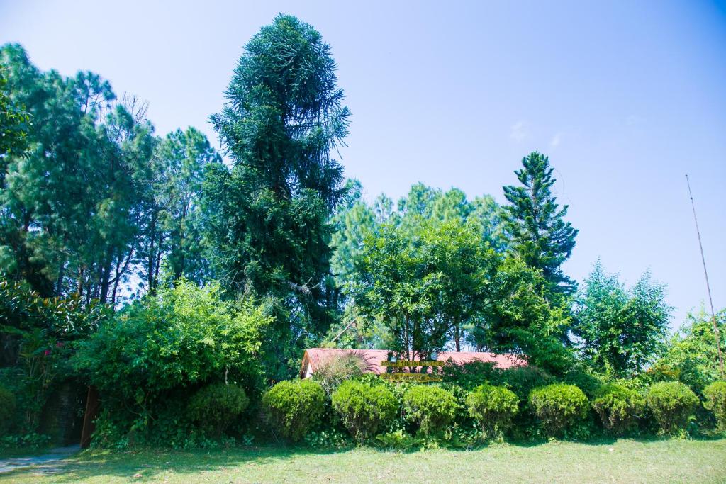 Surrounding environment
