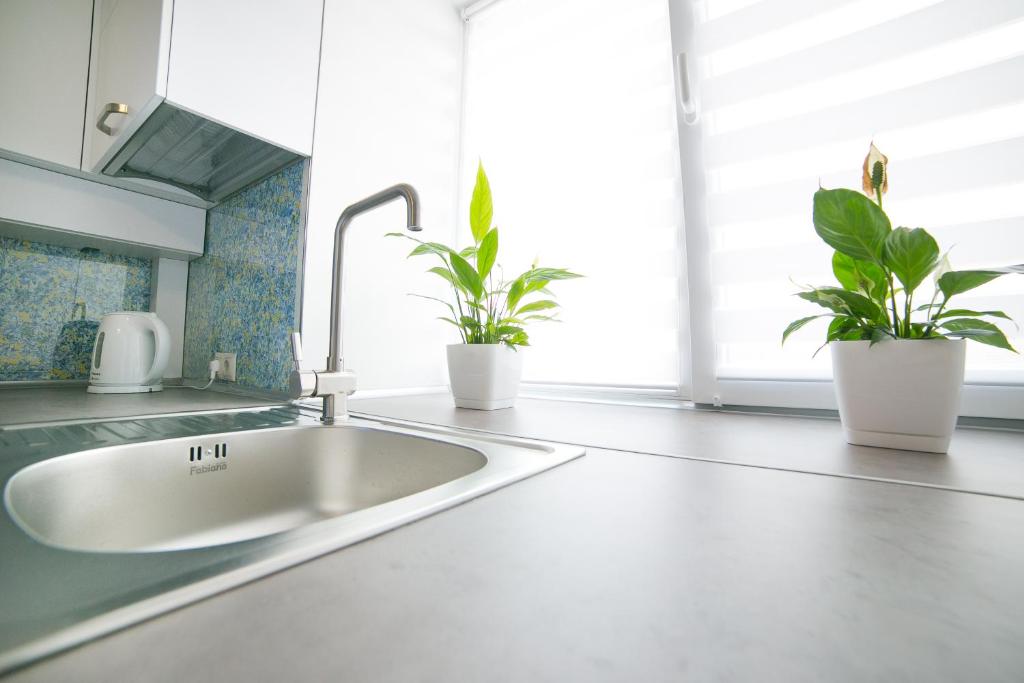 Elegant VIP apartment photo