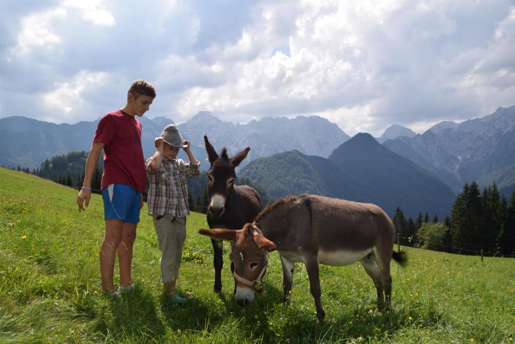 Farm Stay "Alpine Dreams" photo