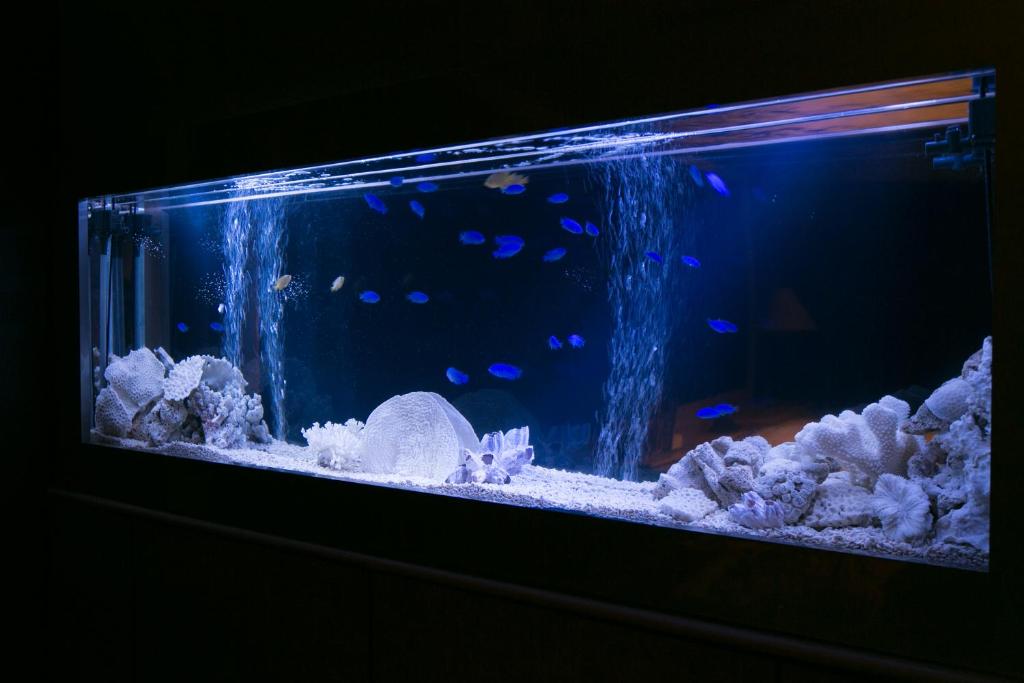 Hotel Atlantis Otsu (Adult Only) photo