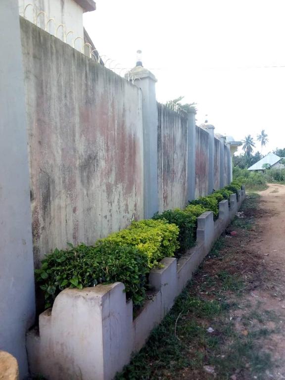 Apartments in Zanzibar City, Tanzania price from 9, reviews