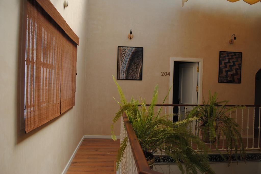 Pension Cordoba photo