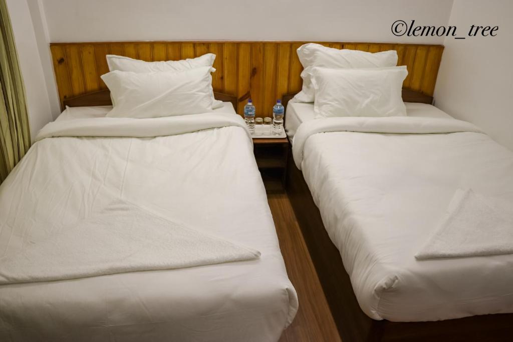Lemon Tree Apartment & Home-stay photo