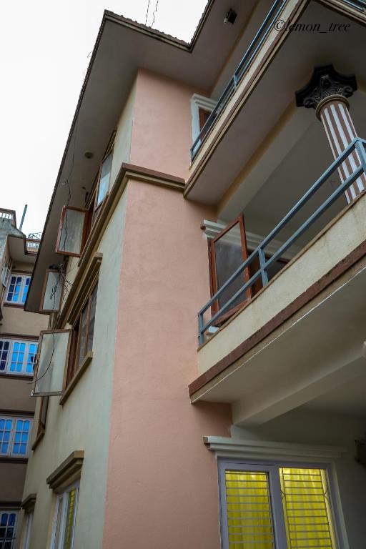 Lemon Tree Apartment & Home-stay photo