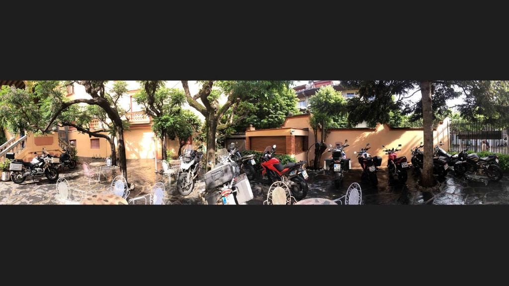 アクティビティ