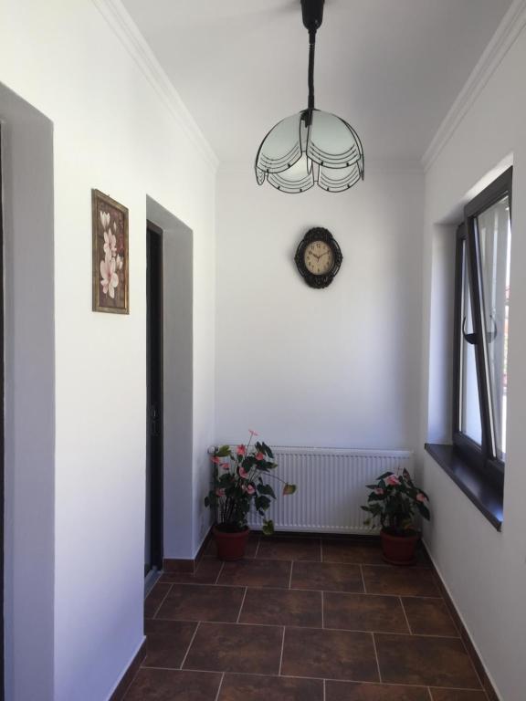 Vila Lion photo