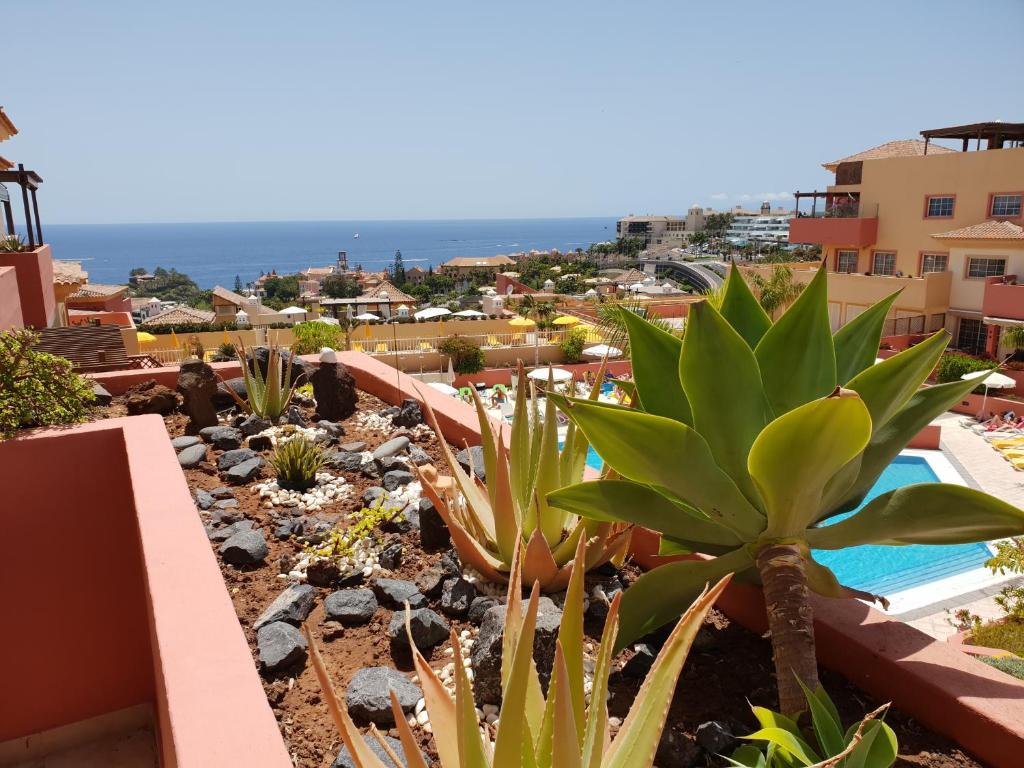 Terrazas del Duque 2, terrace, sea view, only 300 m to beach, heated pool, wifi internet, dishwasher, washing machine - 4