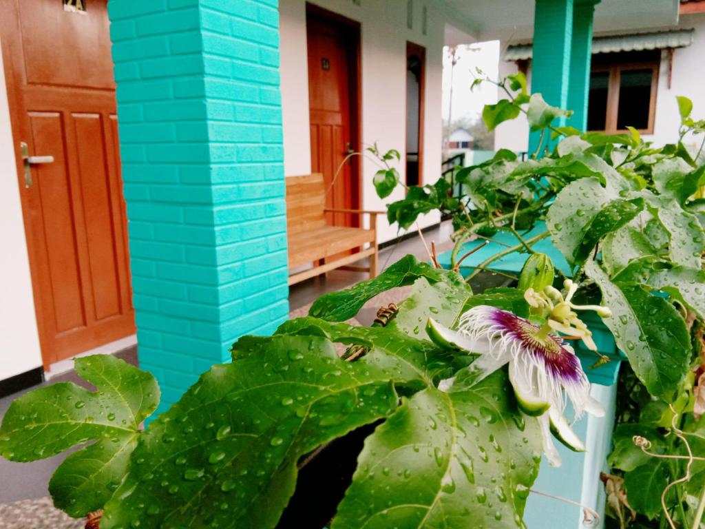 Tata Homestay photo