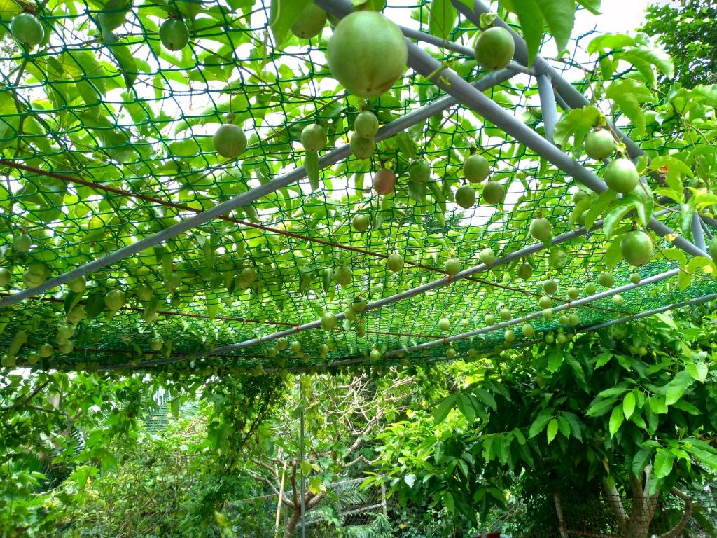 Surrounding environment