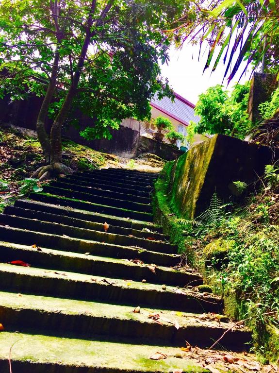 Surrounding environment, Juo House in Chiayi