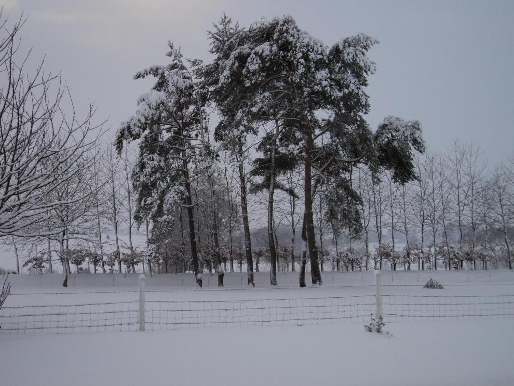 La Demeure photo