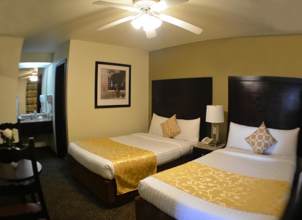 Hotel America photo