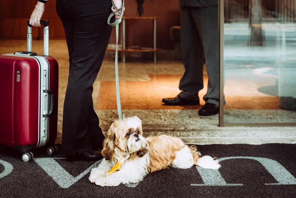 Promenade Visconti Photo 18