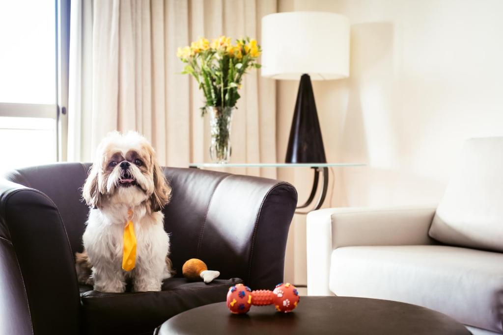 Promenade Visconti Photo 20