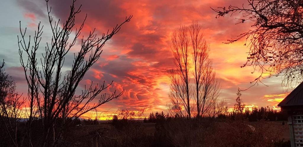 Hawkdun Rise Vineyard & Accommodation photo