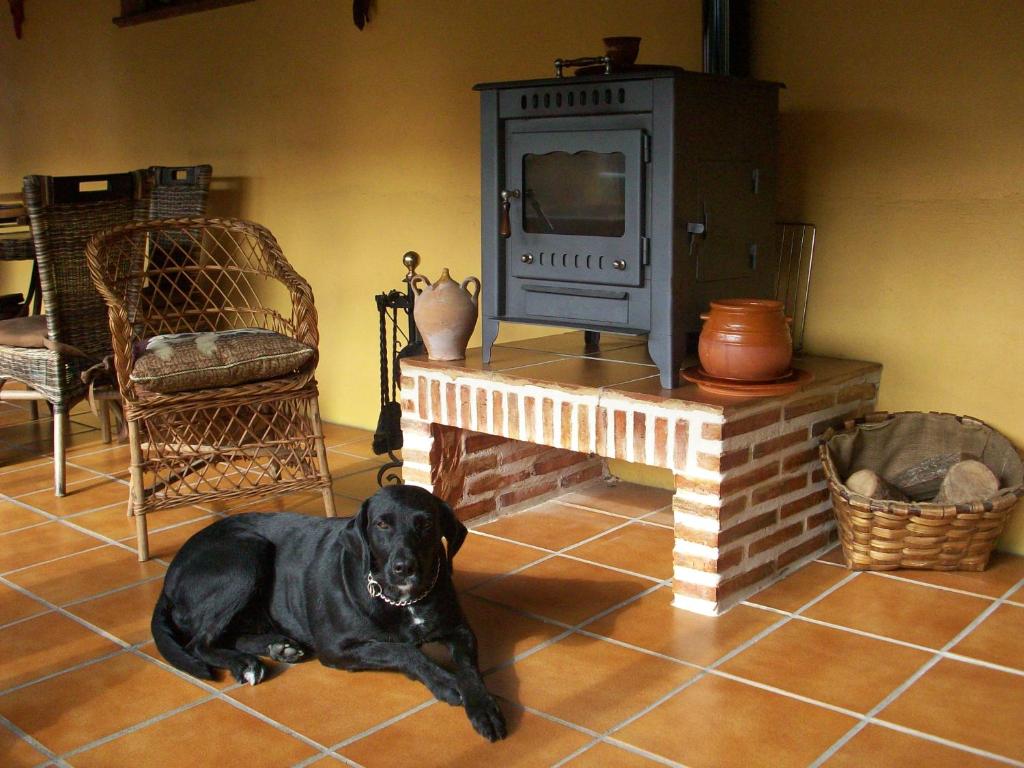 Albergue Estrella Del Camino — Hotel in Fromista