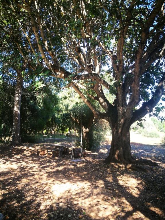 Surrounding environment