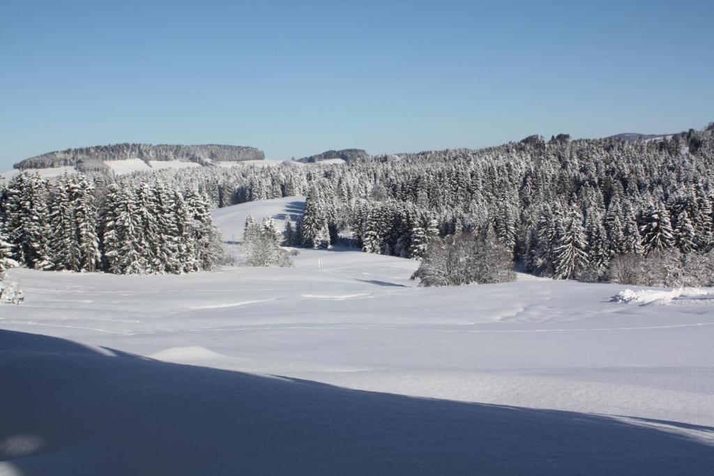 Ferienwohnung Nagelfluh Allgäu - 5