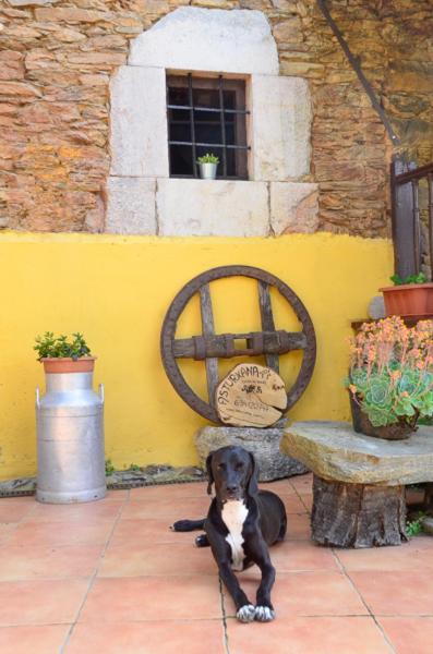 La AsturXana photo