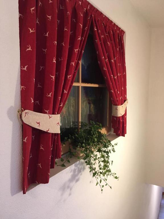 Residenza Grazia photo
