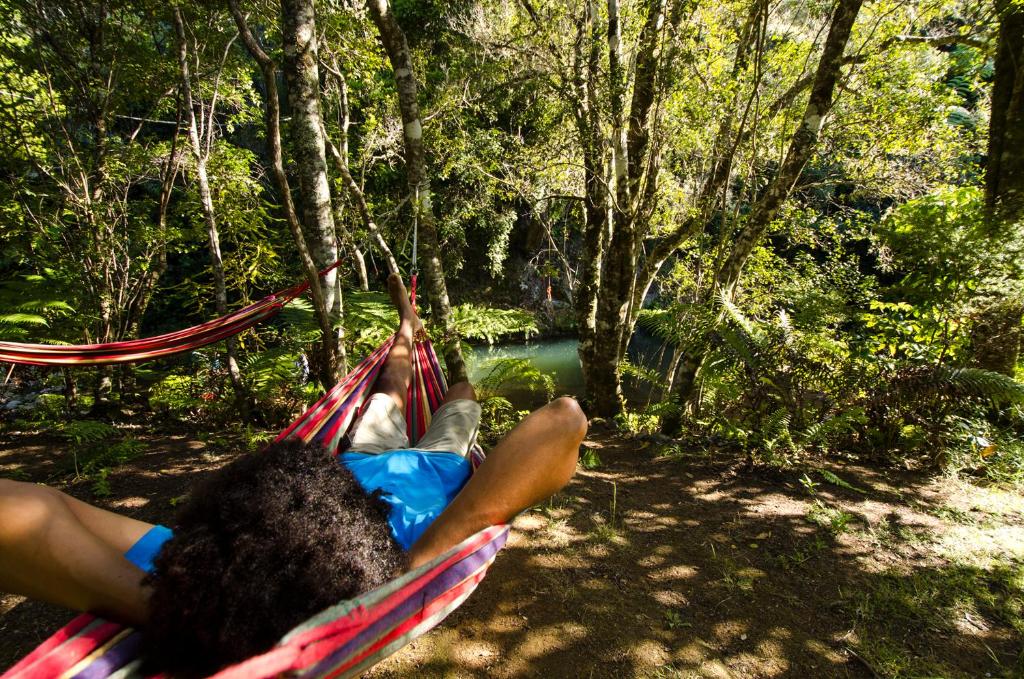 Wairua Lodge - Rainforest River Retreat photo