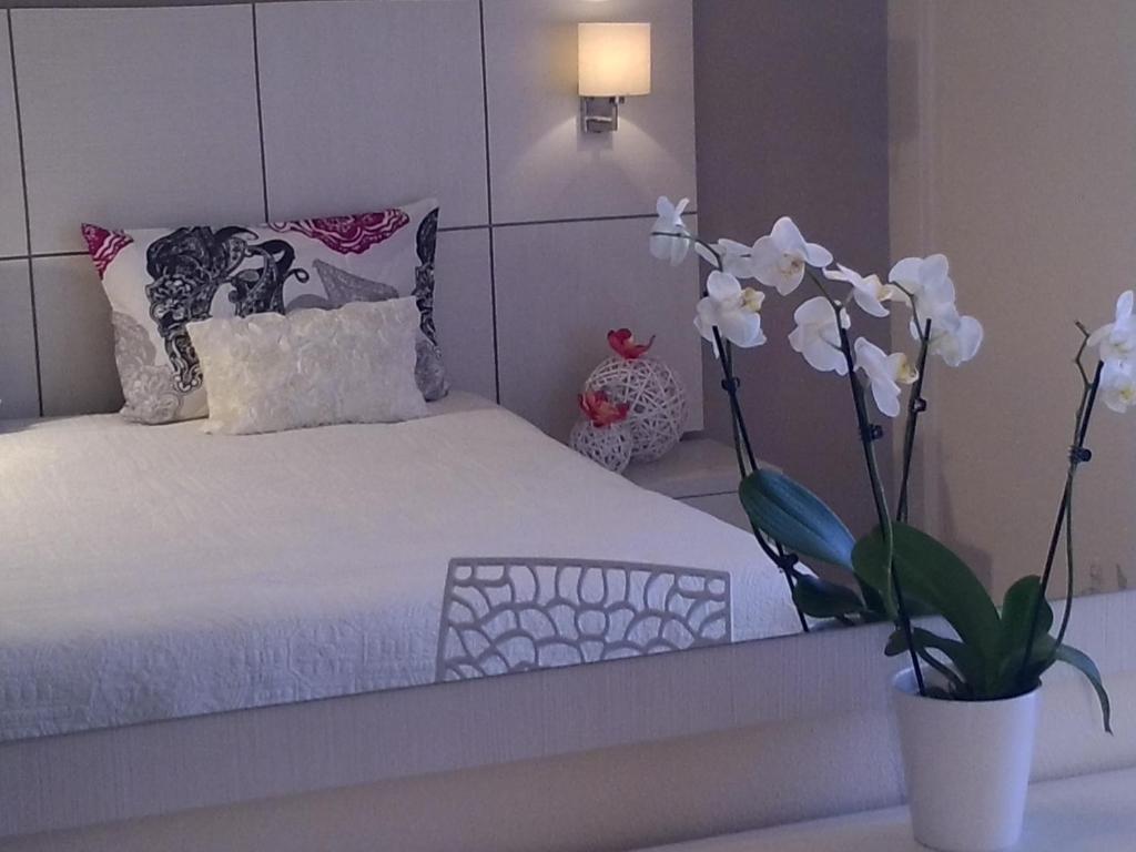 Hotel Matheo Villas & Suites photo