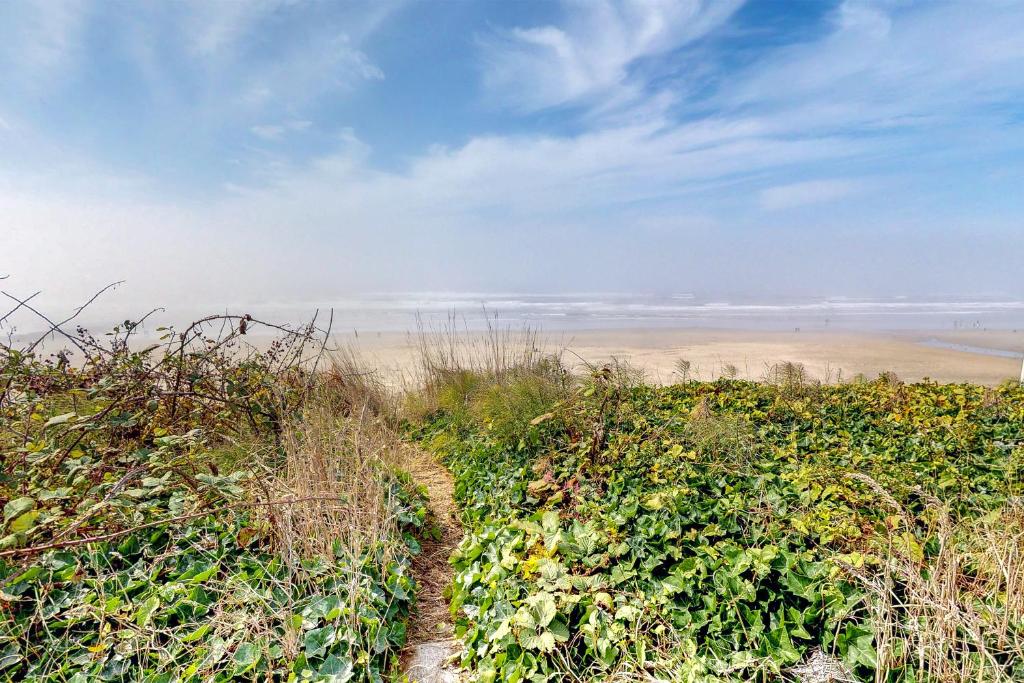 Nye Beach Bums Seaweed Bungalow #6 Main image 2