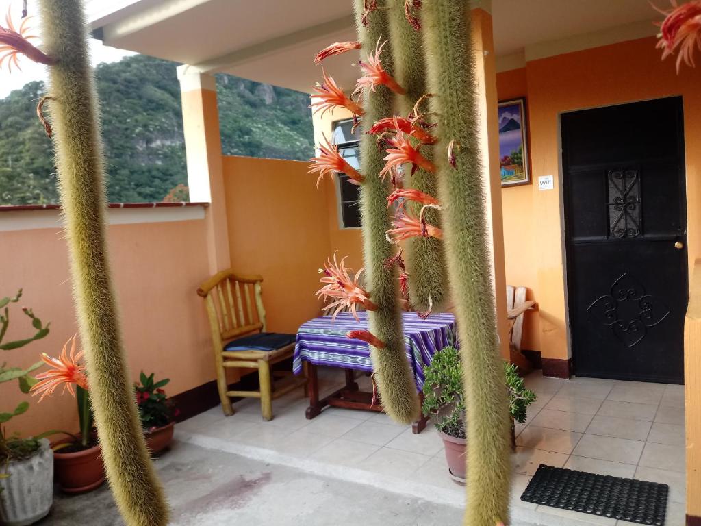 Hospedaje El Viajero photo