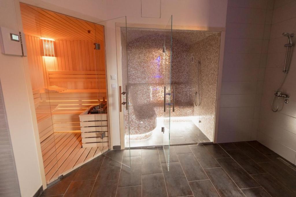 ZLATIBOR 2018 SPA i Wellness photo