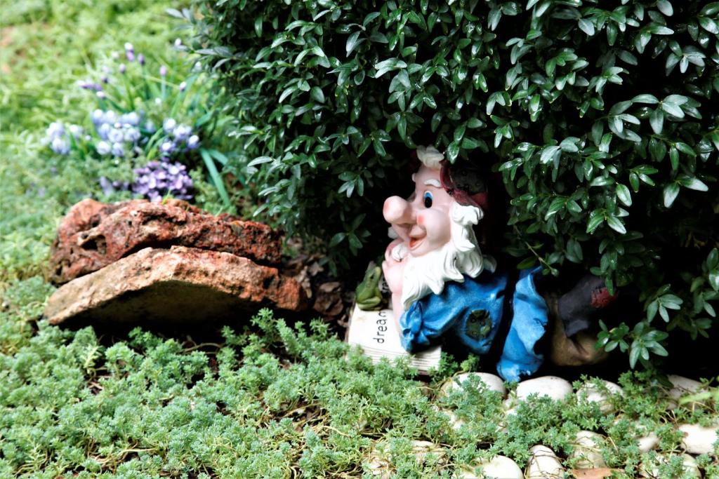 Surrounding environment