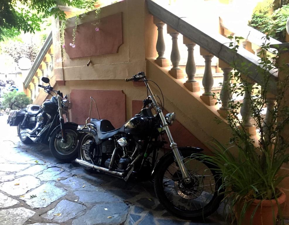 アクティビティ