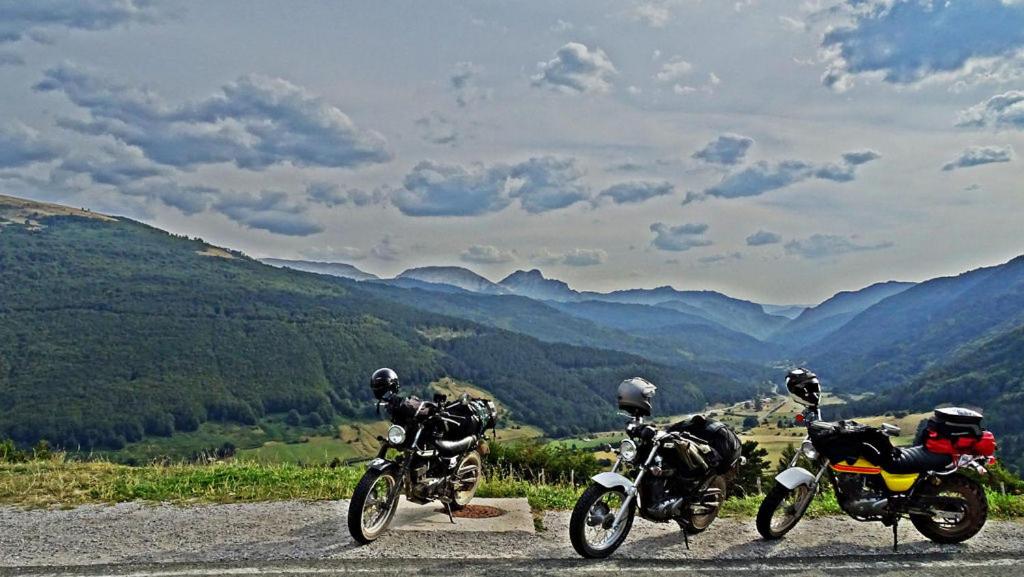 アクティビティ