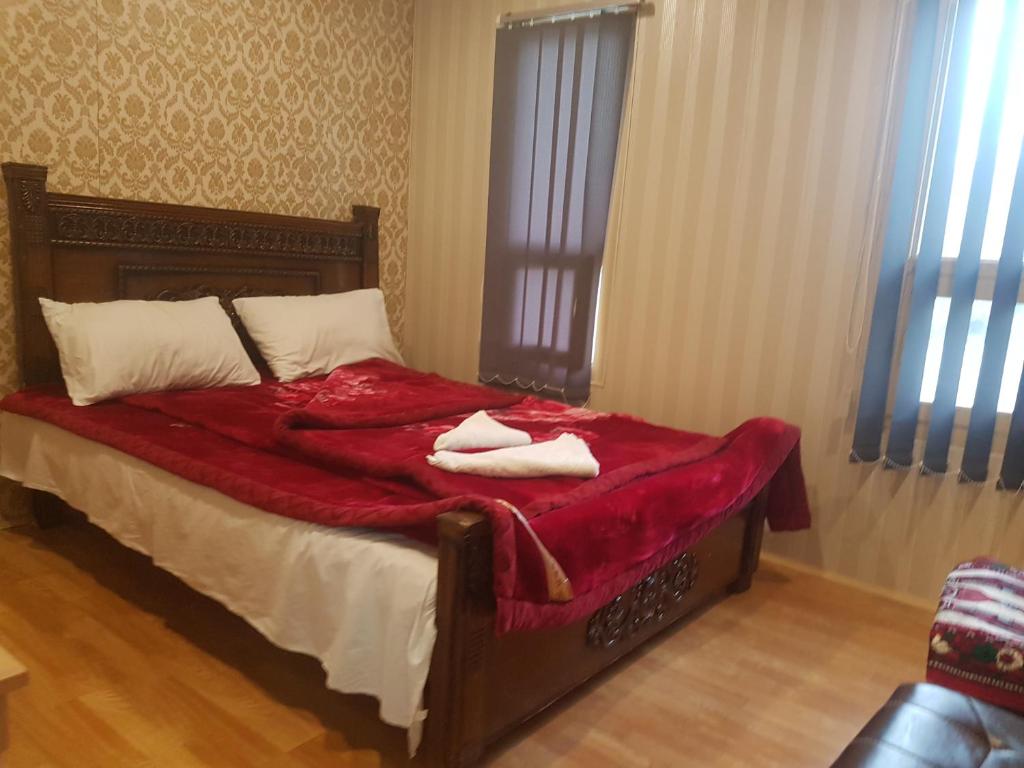 Khunjerab Hotel Sost — Hotel in Sartiz