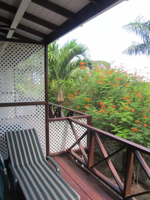 Dolphin Inn Guesthouse & Apartments photo
