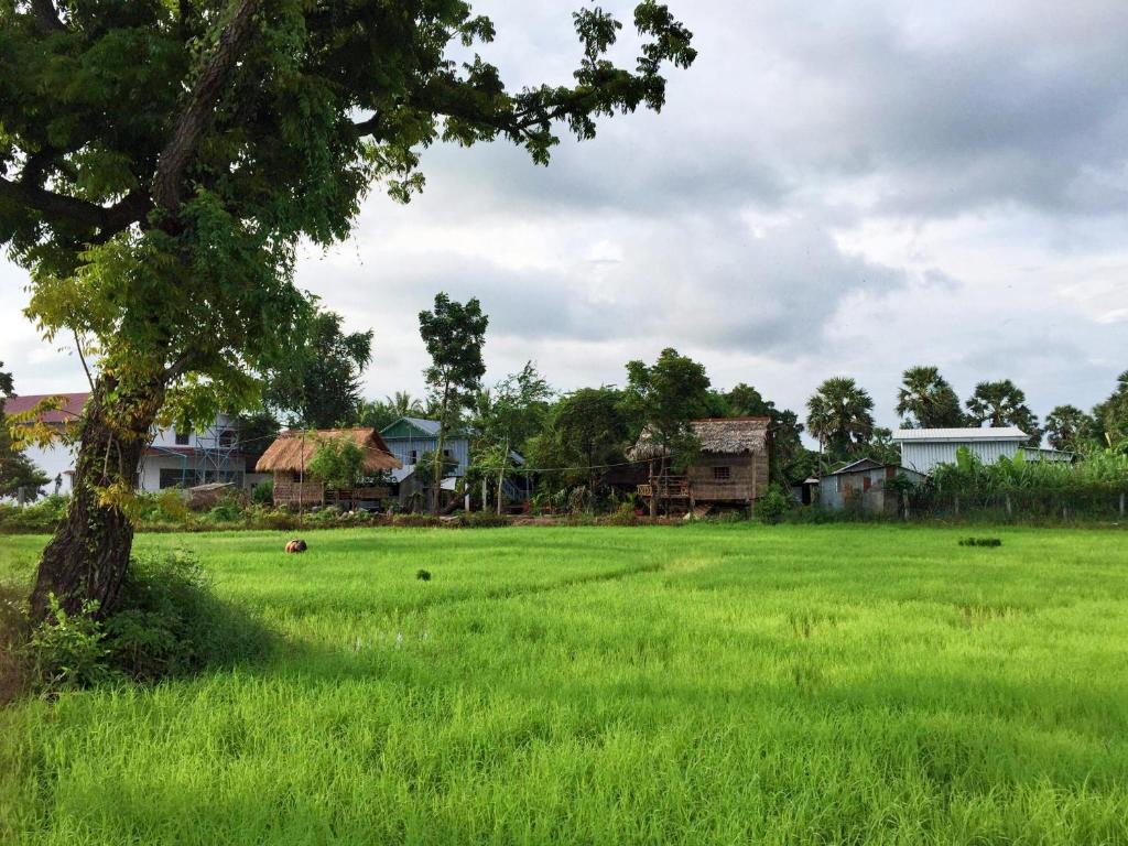 Surrounding environment